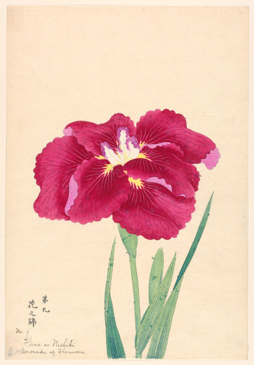 Brocade of Flowers (Hana no Nishiki), No. 9