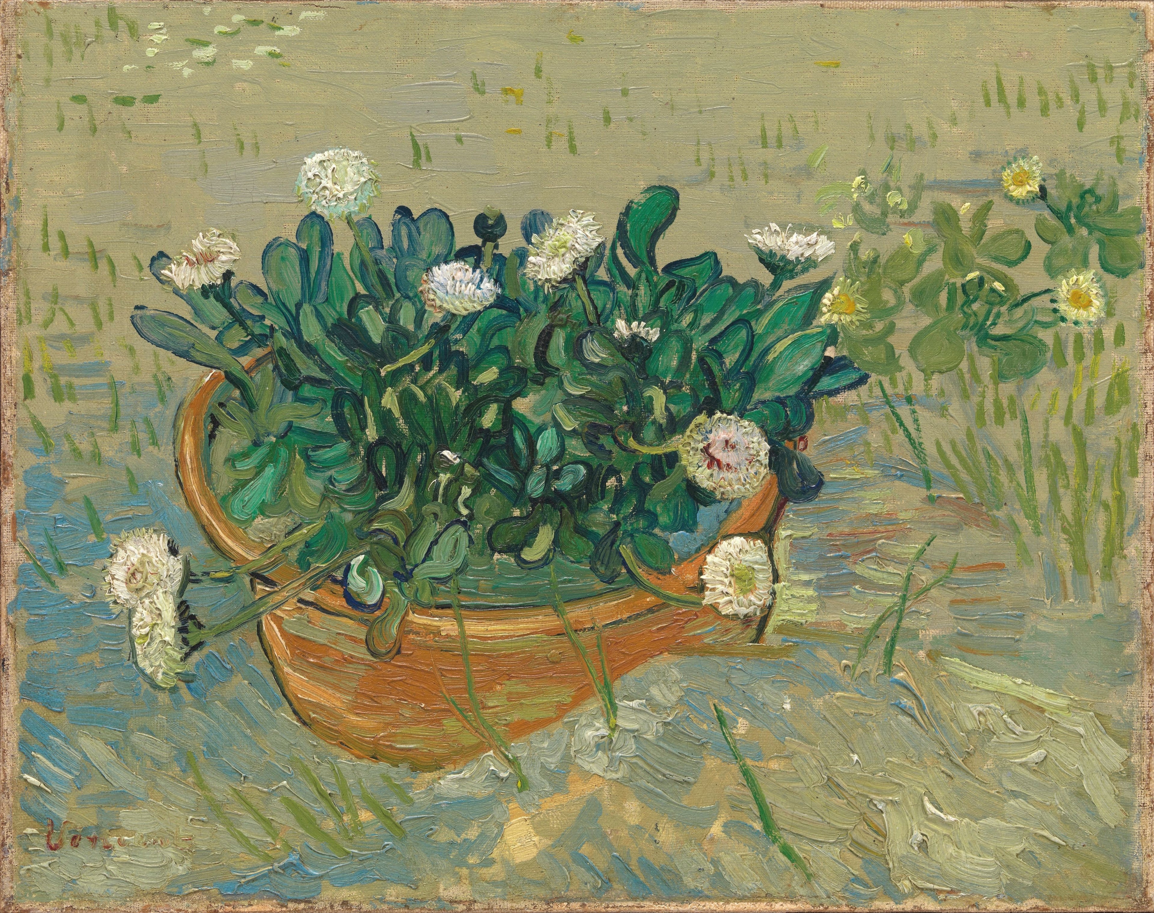 Still Life: Bowl with Daisies (Daisies, Arles)