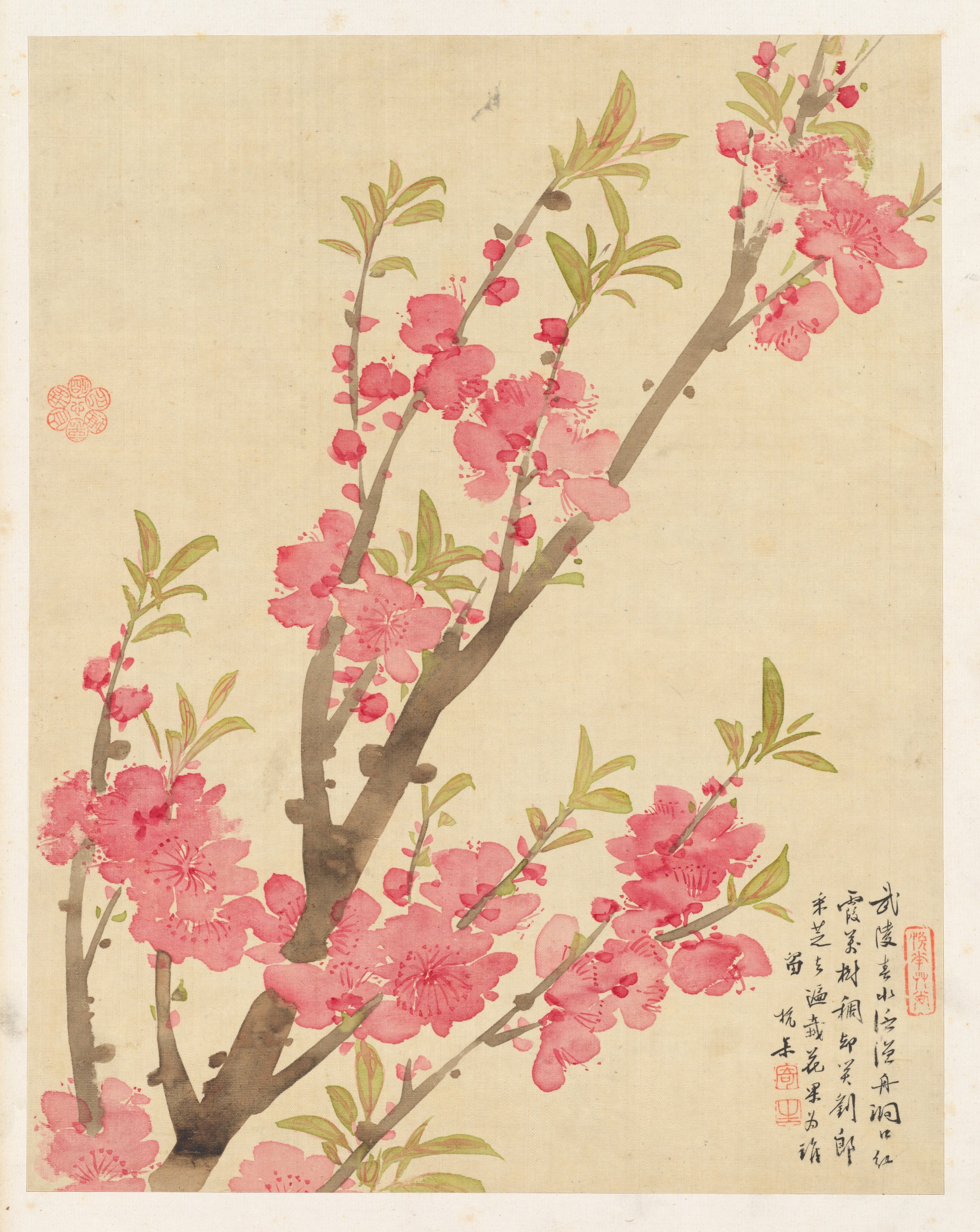 Flowers (Peach Blossoms)