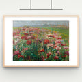Blühender Mohn (Blooming Poppies)