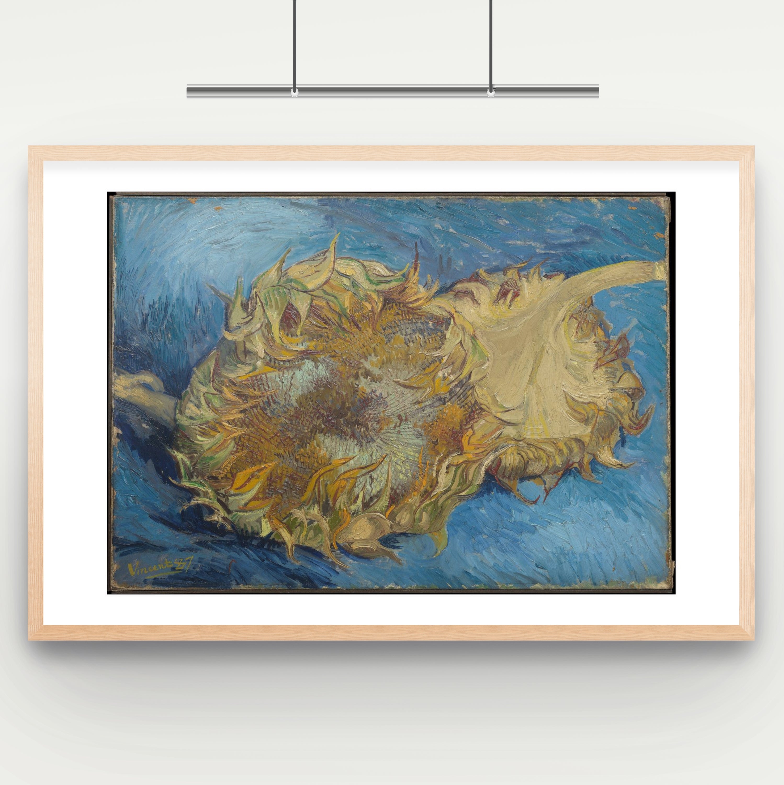 Sunflowers
