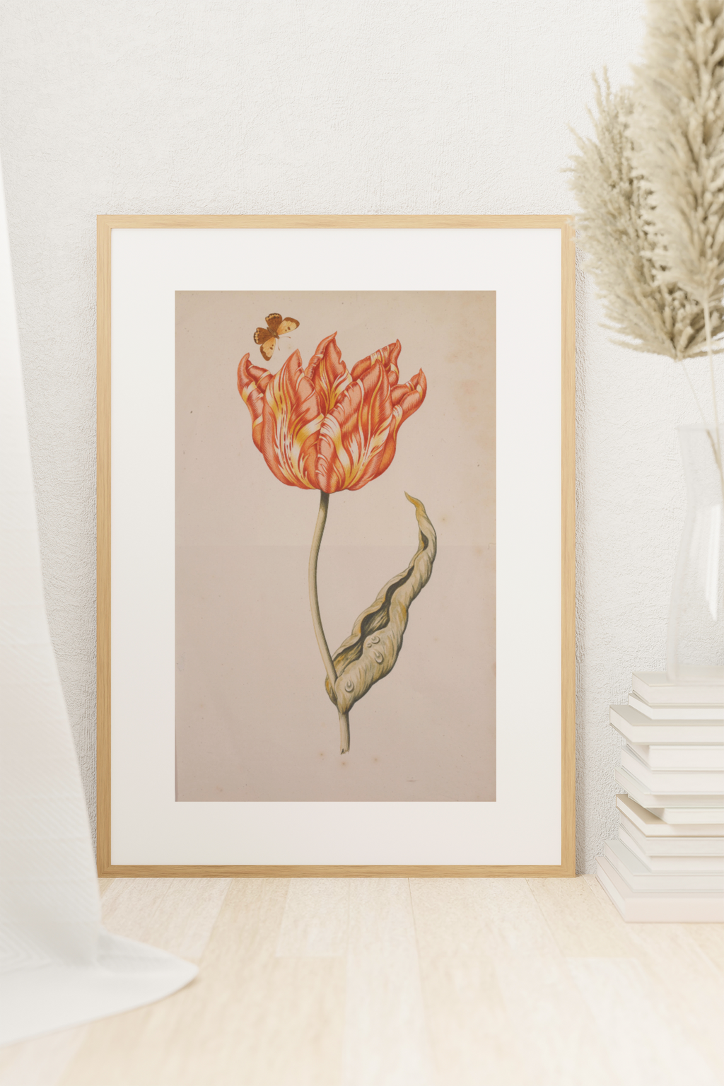 A Tulip with a Butterfly