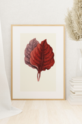 Coloured Foliage Study