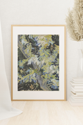 Acacia in Flowers