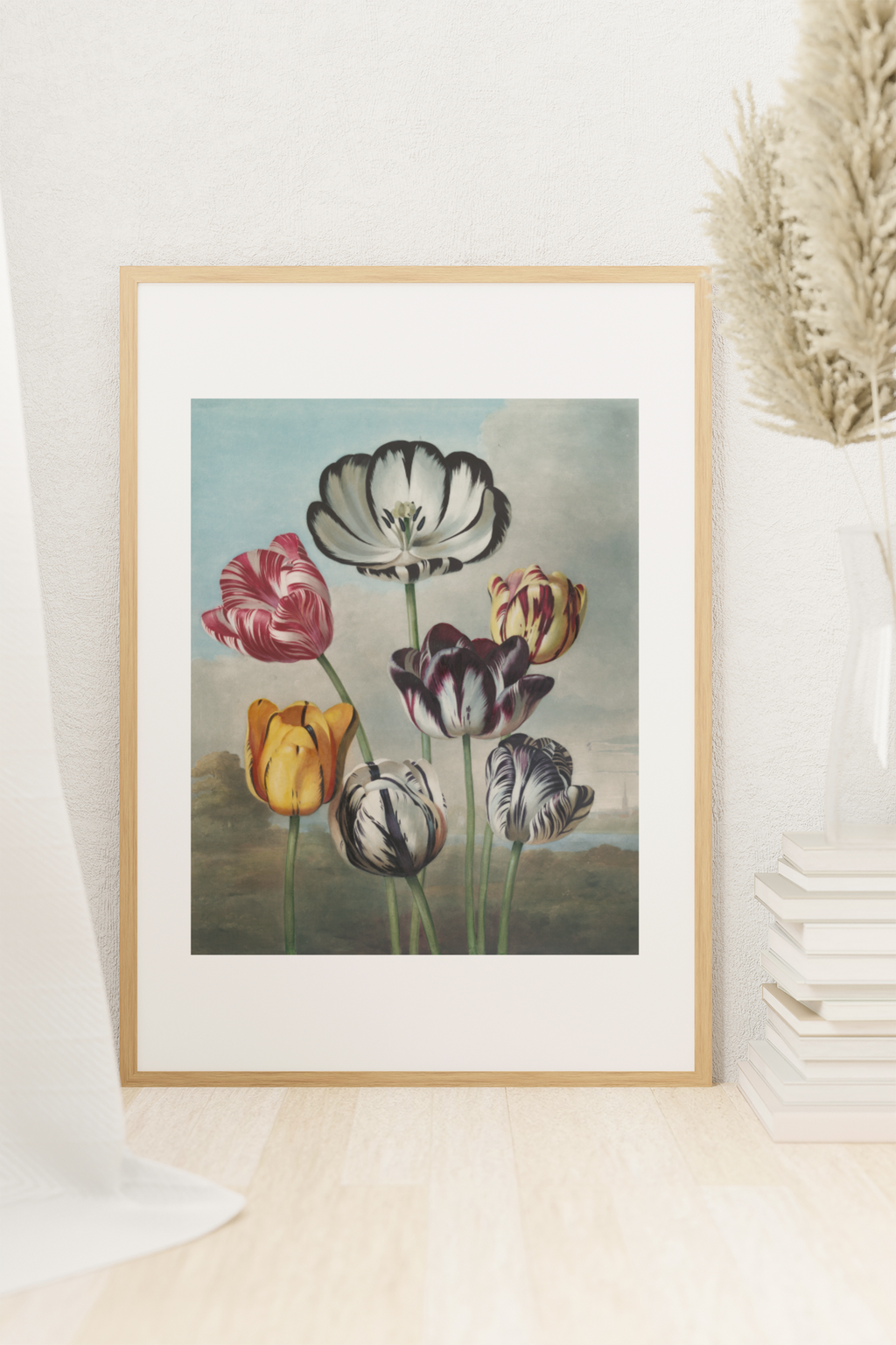 Tulips
