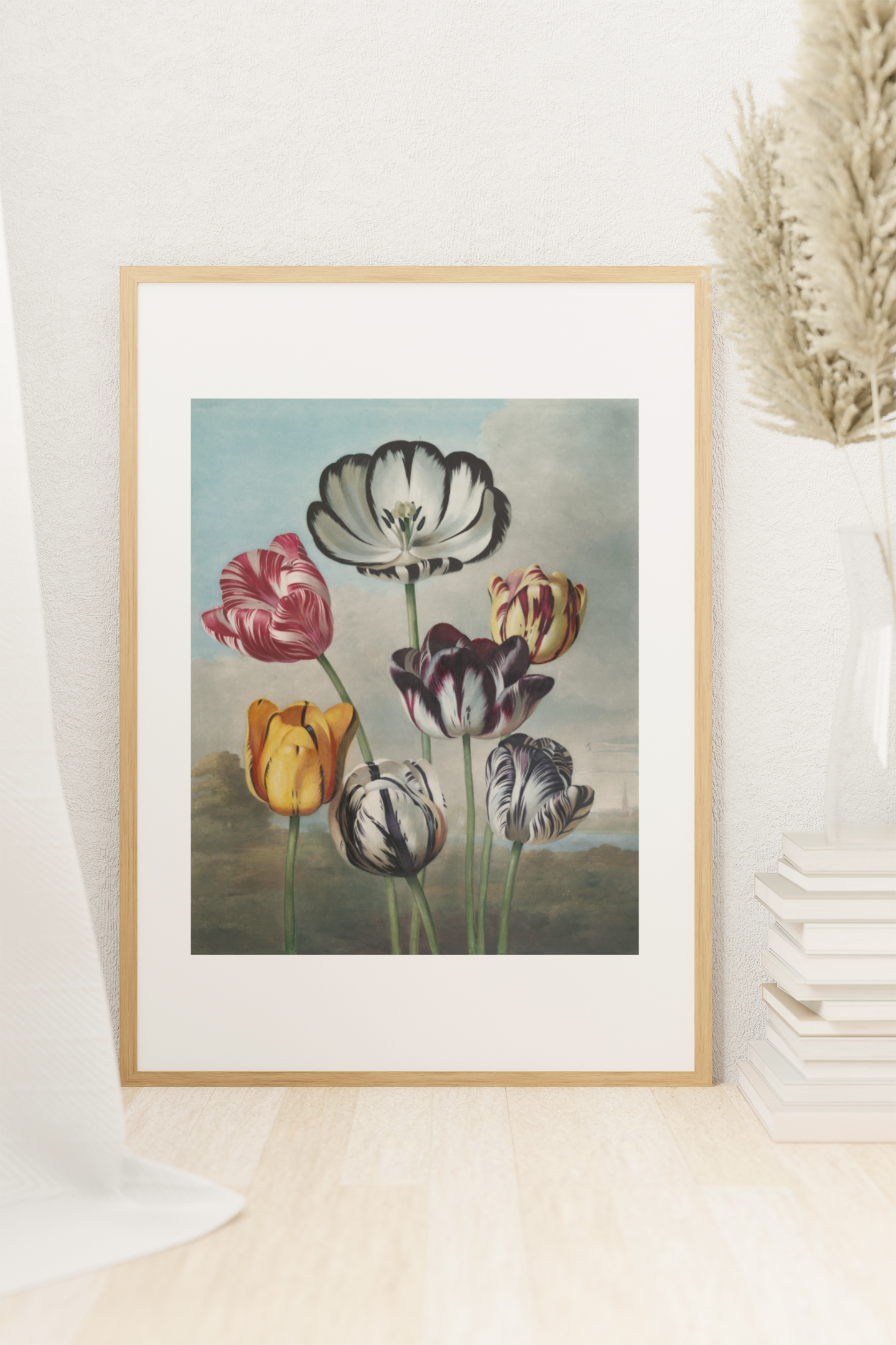 Tulips