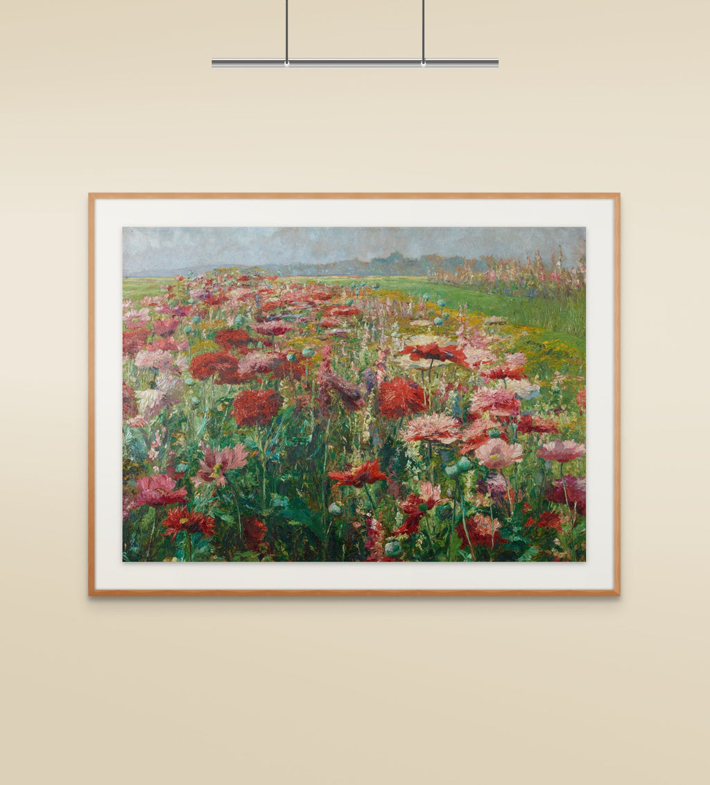 Blühender Mohn (Blooming Poppies)